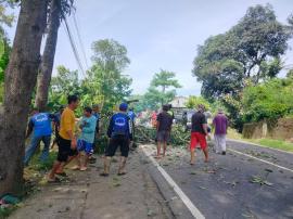KERJA BAKTI PENEBANGAN POHON RAWAN TUMBANG DI PUTAT II